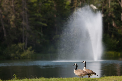 Bowness Park, Calgary