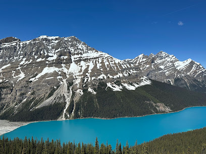 Banff To Do, Calgary