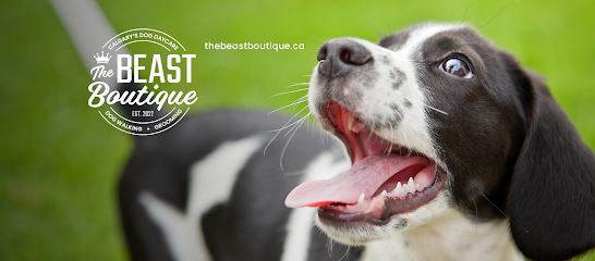 The Beast Boutique Ltd., Calgary