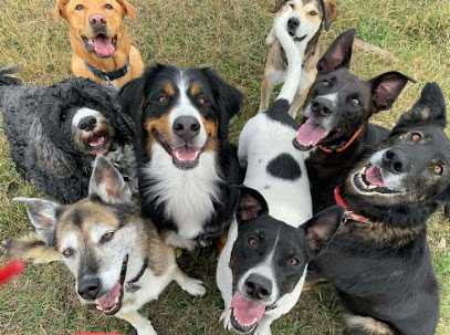 Dogaholics, Calgary