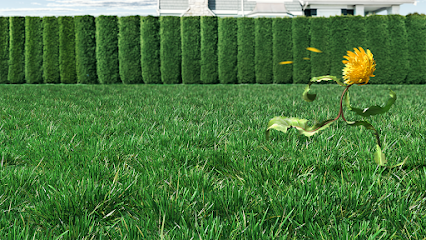 Green Drop Lawns Ltd, Calgary