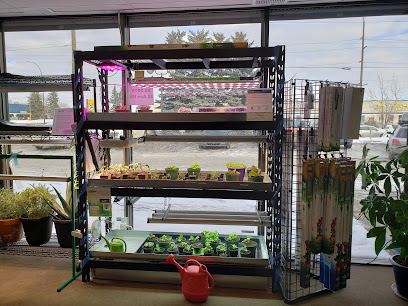 Eco Lighting & Electrical Inc., Calgary