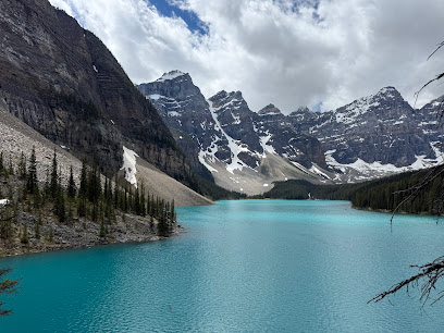Grizzly Banff Tours, Calgary