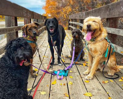 Pawsitive Vibe Canines Inc., Calgary