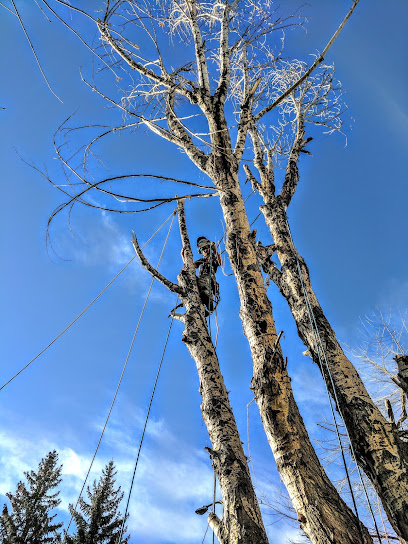 Adair Tree Care Ltd., Calgary