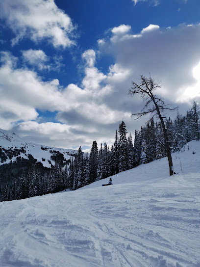 Sunshine Village - Snow Central Office, Calgary